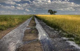 Prairie Road Storm Clouds photo