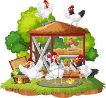 An isolated scene with a group of chickens in cartoon style vector