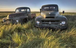 Vintage Farm Trucks photo