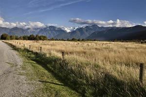 Fox Glacier New Zealand Rural photo