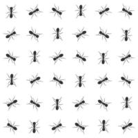 ant vector seamless pattern background