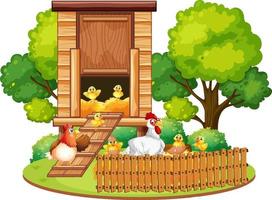 An isolated scene with a group of chickens in cartoon style vector