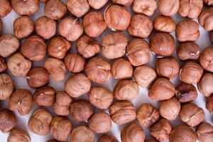 Hazelnuts on a light background. Fresh hazelnut harvest photo