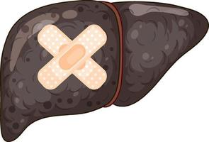 Cirrhosis liver with cross plasters on white background vector