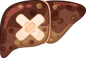 Fibrosis liver with cross plasters on white background vector