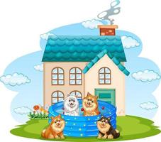 Four dogs playing in the pool in front of the house vector