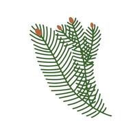 Hand drawn a branch of a Christmas tree. Fir branches. Freehand isolated element. Vector flat Illustration. Only 5 colors - Easy to recolor.