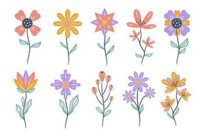 Set of floral elements. Flower and leaves vector