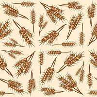 Wheat seamless pattern background hand drawn vector