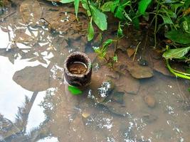 bambú atrapado en medio del pantano. una costumbre del sudeste asiático destinada a restringir la estabilidad de la tierra. foto