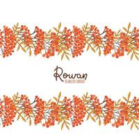 Rowan seamless border. Leaf fall pattern. Flat Vector illustration of botanical garland. Red rowan berries and yellow autumn leaves.