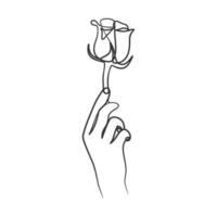 Continuous line art drawing of a hand holding flower vector