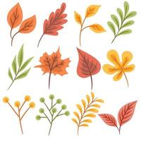 Set of colorful autumn leaves vector