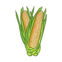 ilustración de comida saludable de granja fresca de maíz vector
