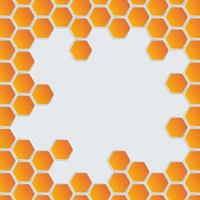 Abstract Geometric Shape Hexagon Background vector