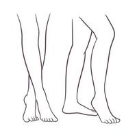 Perfect and beautiful female legs vector