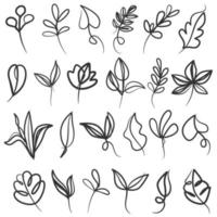 Set of botanical line art floral leaves, plants vector