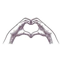 Hand fingers making heart shape in engraving style vector