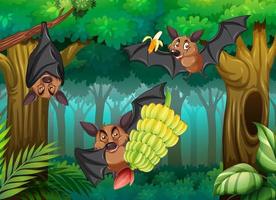 Forest scene with group of bats in cartoon style vector