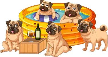 cinco pugs jugando en la piscina vector