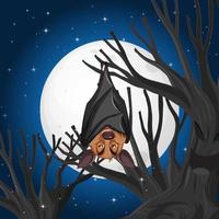 A bat hanging on tree at night scene vector