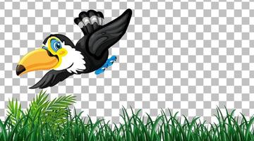 Toucan on the grass field on transparent background vector