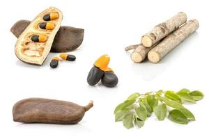 Pod, seed, branch and leaf of Afzelia, Doussie or Makha mong tree. The tropical tree and Economic wood in Thailand photo