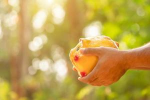Hand holding gold piggy bank with green nature blur background. Money savings concept photo
