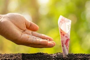 Hand giving fertilizer to Chinese banknote 100 Yuan growing in soil with green nature blur background. Business grow up concept photo