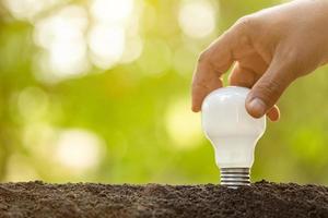 Growth or Saving Energy concept. People planting white light bulb in soil on green garden or nature blur photo