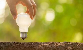 Growth or Saving Energy concept. People planting white light bulb in soil on green garden or nature blur photo