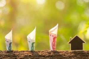 Chinese banknote and house model growing in soil with green nature blur background. Business of real estate concept photo