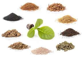 Set of material for growing the plant. Rice chaff, Black chafe, Coconut shells hair and spathe, Dry tree leaf, Chemical fertilizer, Pure Soil and mixed soil isolated on white photo