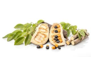 Open pod, seed, branch and leaf of Afzelia, Doussie or Makha mong tree. The tropical tree and Economic wood in Thailand photo