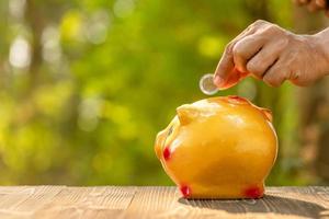 Hand put the coin to piggy bank with green nature blur background. Money savings concept photo