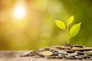 Coin stack with young green sprout on top. Business success, Financial or money growing concept photo