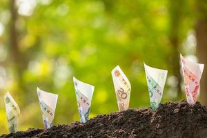 Several Chinese banknote 1-100 Yuan growing in soil with green nature blur background. Business grow up concept photo