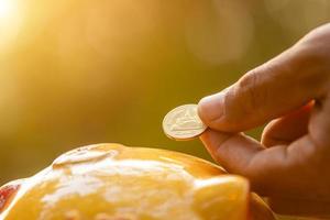 Hand put the coin to piggy bank with green nature blur background. Money savings concept photo