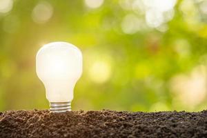 Growth or Saving Energy concept. People planting white light bulb in soil on green garden or nature blur photo