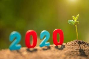 Color number 2020 and green young tree sprout growing in soil in garden blur background photo