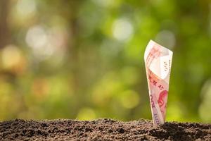 Chinese banknote 100 Yuan growing in soil with green nature blur background. Business grow up concept photo