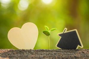 brote verde que crece en el suelo y el corazón de madera y el símbolo de la casa en la luz del sol al aire libre y el fondo verde borroso. árbol de amor, salvar el mundo o concepto de crecimiento y medio ambiente foto