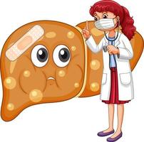 A doctor standing with fat liver on white background vector