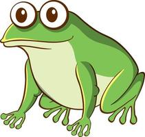 dibujos animados de animales de rana verde sobre fondo blanco vector