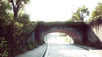 arch bridge with living bush branches in park video