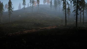 National Forest Recreation Area and the fog with railway video