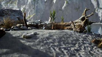 white sand beach near rocky cliffs at ocean video