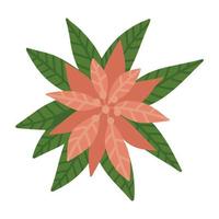 Poinsettia single element. Freehand isolated flower. Vector flat Illustration. Only 5 colors - Easy to recolor.