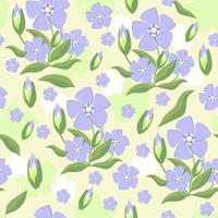 Vector seamless isolated floral pattern with periwinkle flowers.