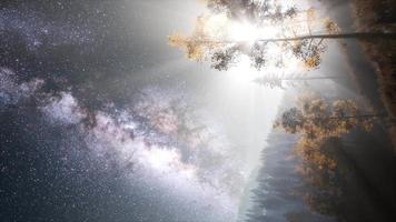 galaxia de la vía láctea sobre el bosque video